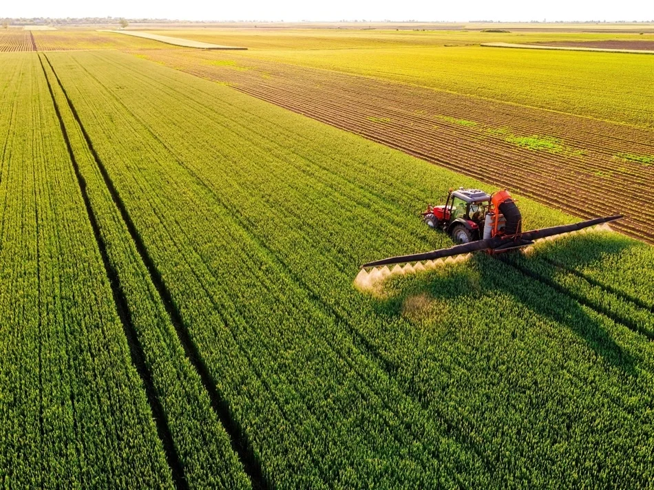 Our Story with Egyptian Agriculture: From Fertile Lands to Global Tables