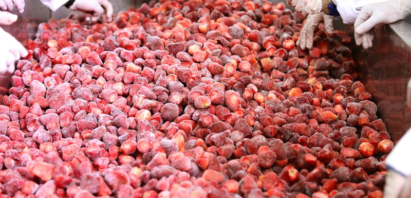 The Difference Between IQF and Traditional Freezing: Why We Choose IQF